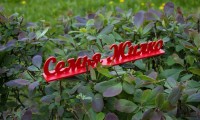 Окрашенные слова на подставке